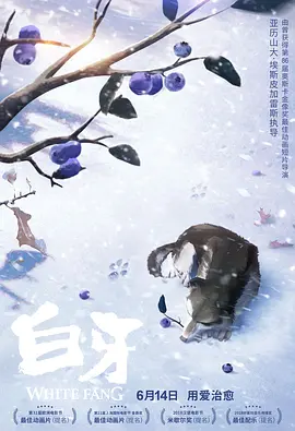 午夜高清免费观看视频