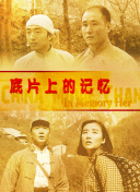 情陷撒哈拉