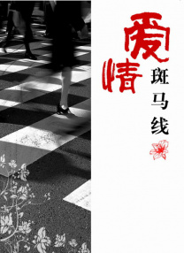 久久久久成人亚洲精品
