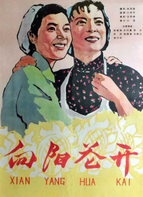 国产精品免费看久久久麻豆