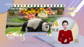 国产高清久久99